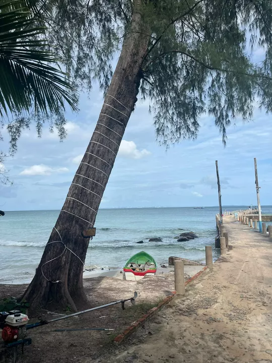 A green and red boat on the sand beside a leaning tree and a long concrete pier.