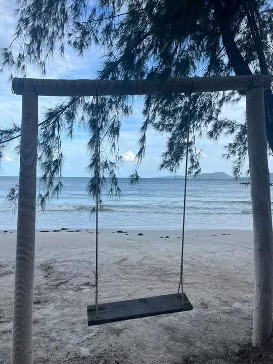 A large rope swing facing a pale beach and calm sea beneath overhanging trees.