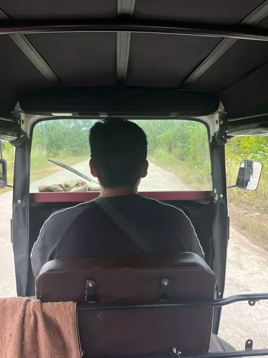 The view past a tuk-tuk driver along a narrow road bordered by green vegetation in Cambodia.